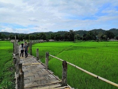 สะพานซูตองเป้