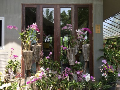 ด้านข้างร้าน