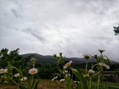 บริเวณโดยรอบ