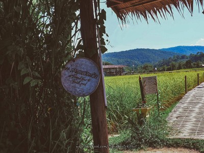 "สะเมิง" เชียงใหม่ หน้าหนาวที่แล้ว