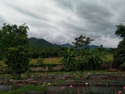 บริเวณโดยรอบ