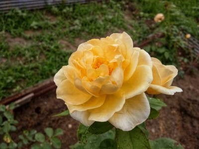 วิวนอกห้อง