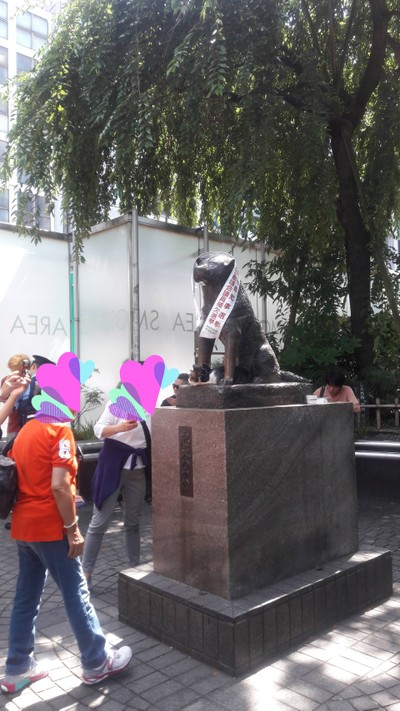 ถึงชิบูย่าต้องเดินมาหาคนนี้เลย ฮาจิโกะ