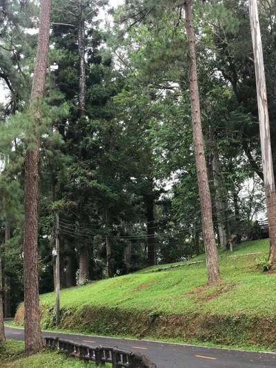 ร้านกาแฟวิวสวย บนดอยปุย