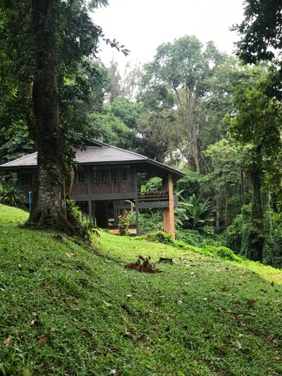 ร้านกาแฟวิวสวย บนดอยปุย