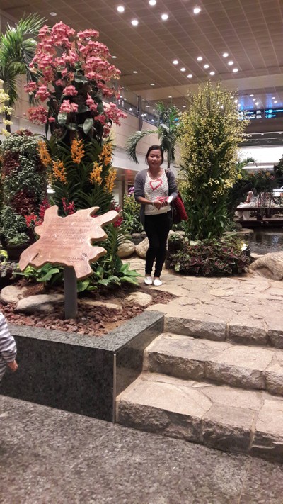 ถึงสิงคโปร์ดึกๆค่ะ เพราะออกจากญี่ปุ่นตอนเย็นๆถึงช่วงค่ำ ชางงีสวยมากค่ะ