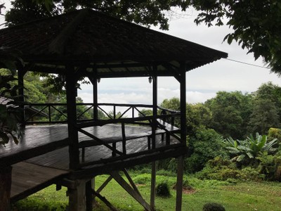 ร้านกาแฟวิวสวย บนดอยปุย