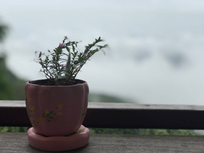 ร้านกาแฟวิวสวย บนดอยปุย