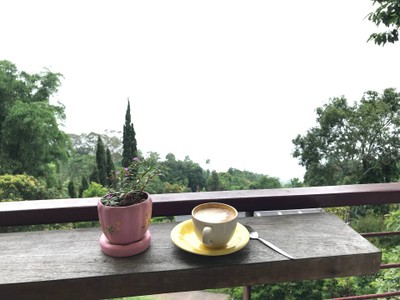 ร้านกาแฟวิวสวย บนดอยปุย