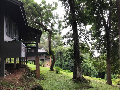 ร้านกาแฟวิวสวย บนดอยปุย