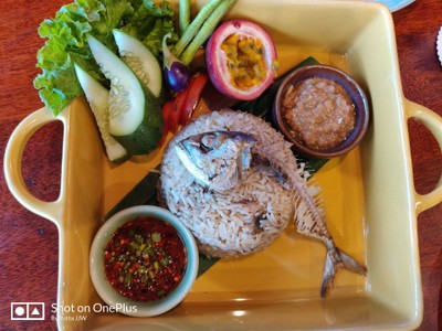 ข้าวแมว