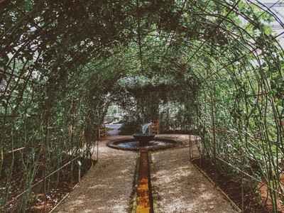 "สะเมิง" เชียงใหม่ หน้าหนาวที่แล้ว