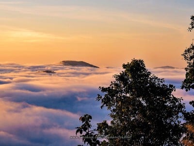 ทะเลหมอกที่วัดพระธาตุดอยนก