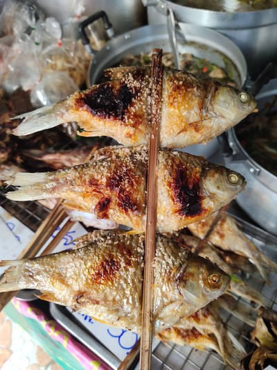 ปิ้งปลา