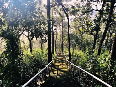 "สะเมิง" เชียงใหม่ หน้าหนาวที่แล้ว