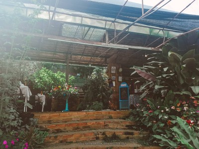 "สะเมิง" เชียงใหม่ หน้าหนาวที่แล้ว