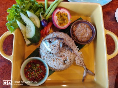 ข้าวแมว