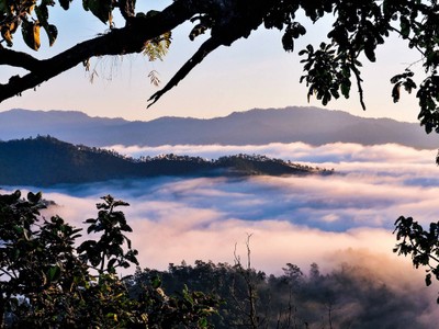 "สะเมิง" เชียงใหม่ หน้าหนาวที่แล้ว