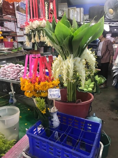 เมืองเชียงใหม่ 
ตลาาดเช้าตรู่ มีอะไรมากกว่าที่คิด