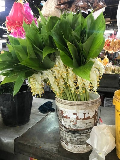 เมืองเชียงใหม่ 
ตลาาดเช้าตรู่ มีอะไรมากกว่าที่คิด