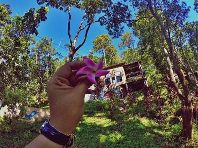 "สะเมิง" เชียงใหม่ หน้าหนาวที่แล้ว