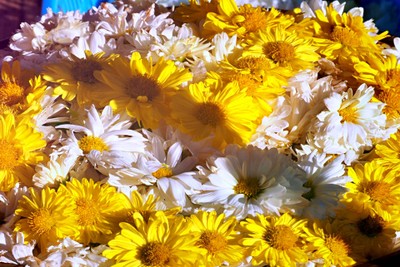 "สะเมิง" เชียงใหม่ หน้าหนาวที่แล้ว