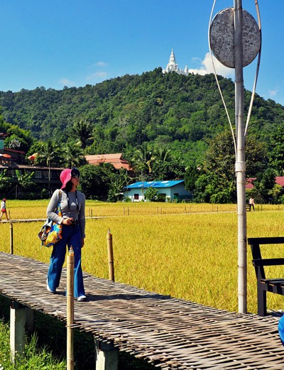 "สะเมิง" เชียงใหม่ หน้าหนาวที่แล้ว