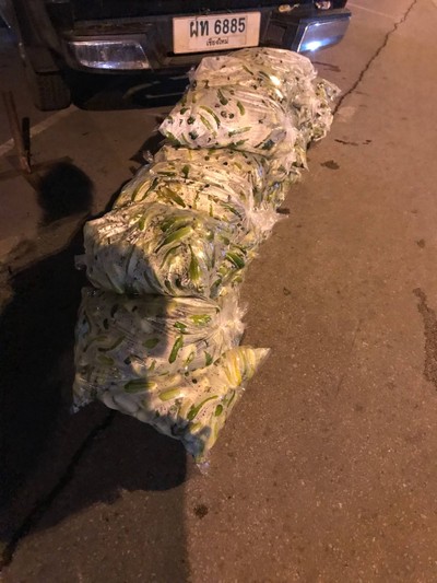 เมืองเชียงใหม่ 
ตลาาดเช้าตรู่ มีอะไรมากกว่าที่คิด