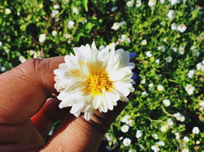 "สะเมิง" เชียงใหม่ หน้าหนาวที่แล้ว