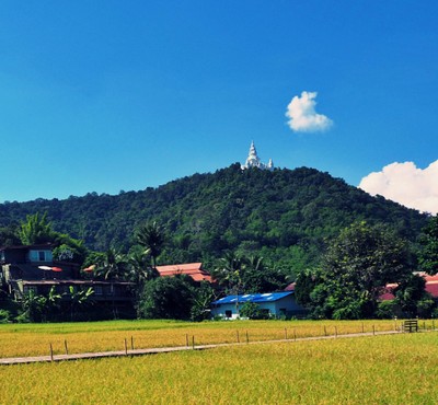 "สะเมิง" เชียงใหม่ หน้าหนาวที่แล้ว