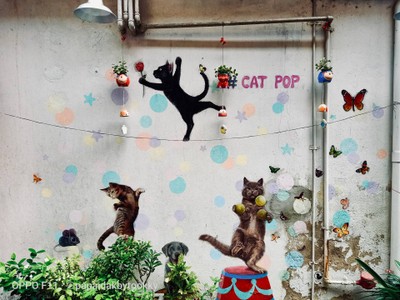 วิถีตลาดเก่า ตลาดเก่าริมน้ำเพชรบุรี