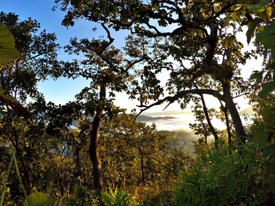"สะเมิง" เชียงใหม่ หน้าหนาวที่แล้ว