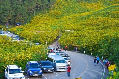 ทุ่งบัวตองดอยแม่อูคอ