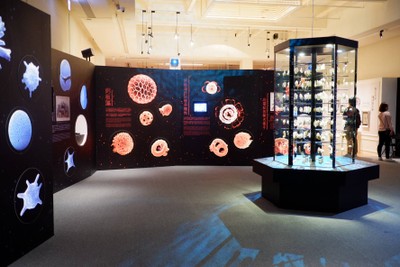 ไต้หวัน ฉันมาแล้ว