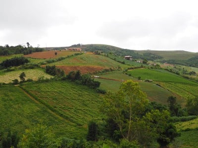 บรรยากาศ อุทยานแห่งชาติภูหินร่องกล้า