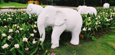 Royal Park Rajapruck In Rainy Season ^^