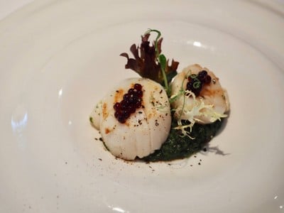 Roast Scallops, Spinach Cream, Balsamic Pearls
