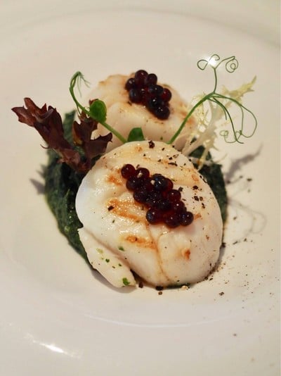 Roast Scallops, Spinach Cream, Balsamic Pearls