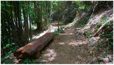 ทางที่ต้องเดินเข้าไปในน้ำตกผาลาด