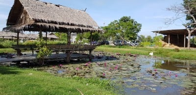 เชฟชุมชน By หมุ่บ้านอนุรักษ์ควายไทย ชุมชนศรีประจันต์