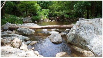 ตรงนี้มุมถ่ายรูปสวยๆ