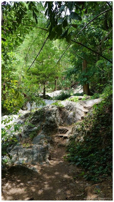 ถ้าไม่ลงเล่นน้ำ ก็ใส่รองเท้าผ้าใบมาดีกว่า มดเยอะ