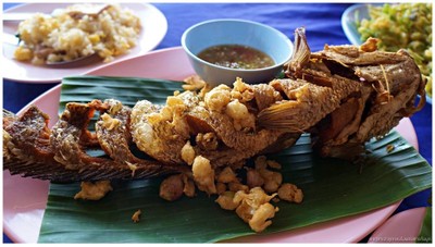 ปลาช่อนทอดกระเทียม