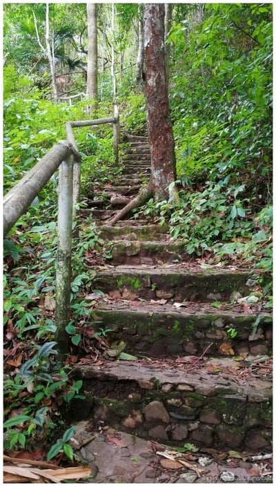 อุทยานแห่งชาติตากสินมหาราช