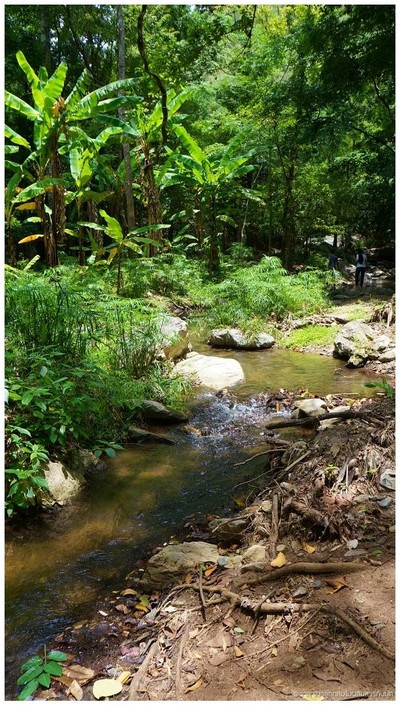 น้ำตกผาลาด