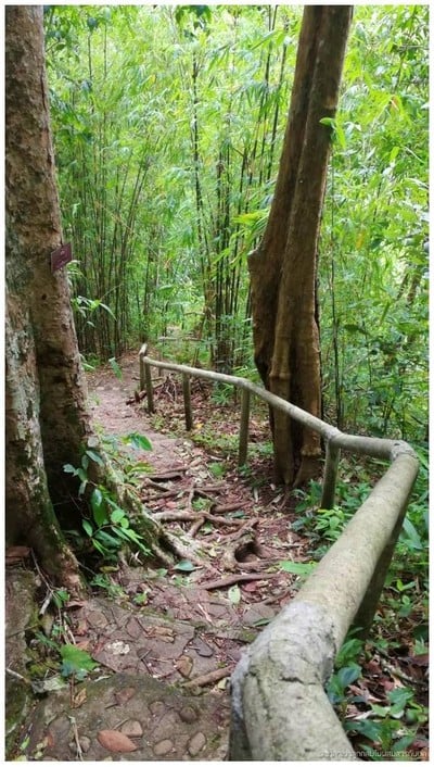 อุทยานแห่งชาติตากสินมหาราช