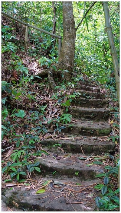 หอบไป ก็ต้องเดินไป