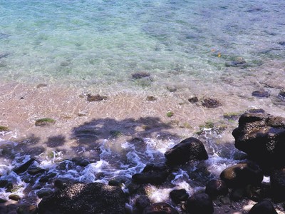 เที่ยว "Patong Phuket" 2 วัน 1 คืน 