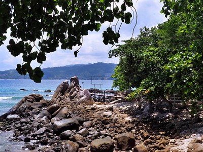 เที่ยว "Patong Phuket" 2 วัน 1 คืน 