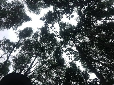 แลนด์มาจัน 3 วัน 2 คืน